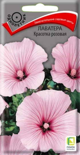 Красотка розовая Ц(Поиск)