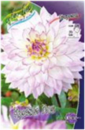 Крейзи Лов 1шт