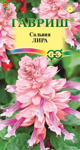 Лира Ц(Г)
