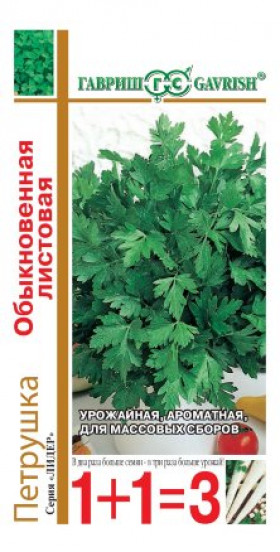 Листовая обыкновенная 1+1 Ц(Г)