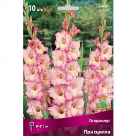 Присцилла 10/12 10шт