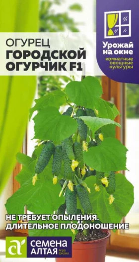 Городской огурчик Ц(Алт)