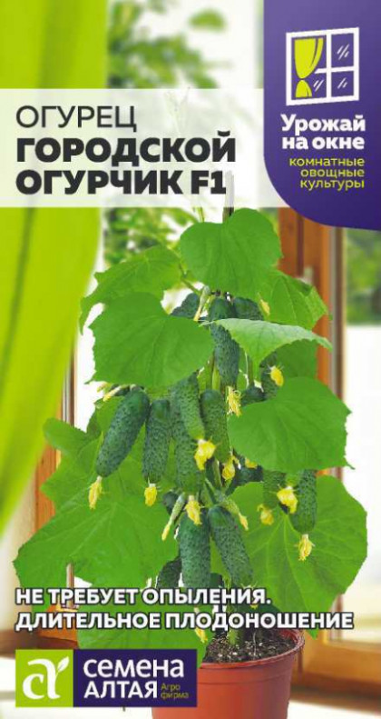 Городской огурчик Ц(Алт)