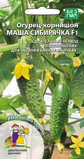 Маша Сибирячка корнишон Ц(УД)