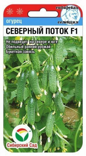 Северный Поток 7шт СС