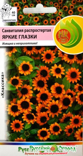 Яркие глазки Ц(Н)