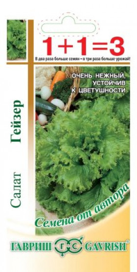 Гейзер 1+1 Ц(Г)