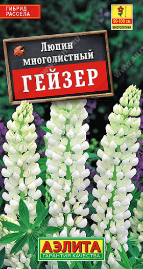 Гейзер белый мног. Ц(А)