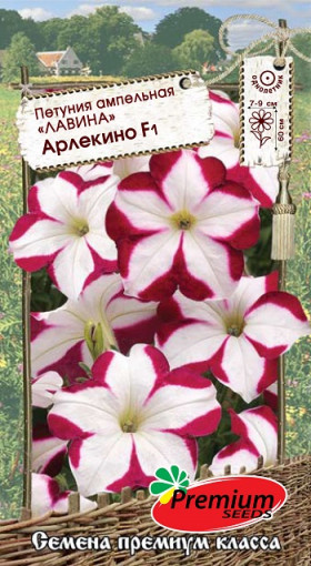 Лавина Арлекино ампельная 10шт  Премиум Сидс