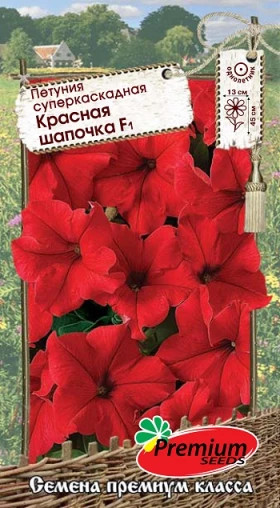 Красная Шапочка суперкаск.10шт  Премиум Сидс