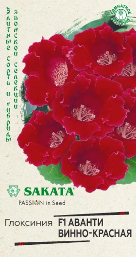 Аванти винно-красная Ц(Г)