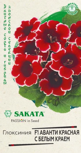 Аванти красная с белым краем Ц(Г)