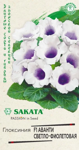 Аванти Светло-фиолетовая Ц(Г)