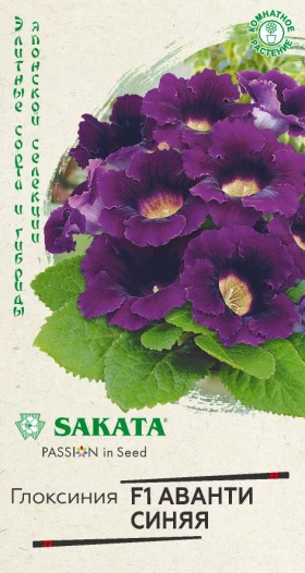 Аванти синяя Ц(Г)