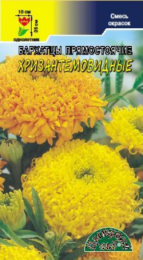 Хризантемовидные смесь/Цветущий Сад