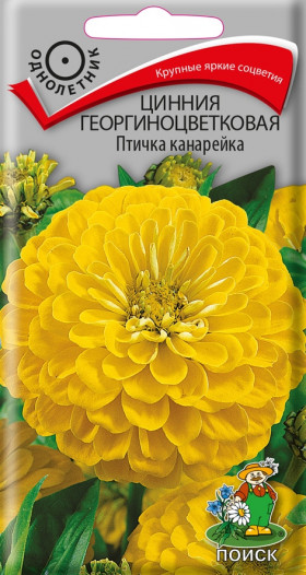 Птичка канарейка Ц(Поиск)
