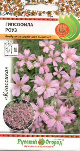 Роуз мн. Ц(Н)