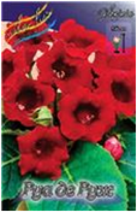 Руа Де Руж  2шт