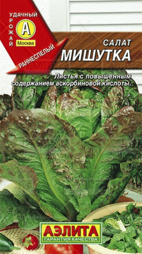 Мишутка красн. лист Ц(А)