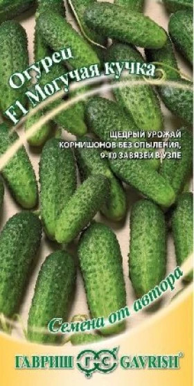 Могучая кучка Ц(Г)