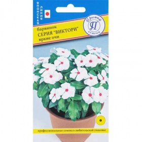 Виктори Яркие очи Ц(П)