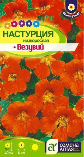 Везувий низкорослая Ц(Алт)