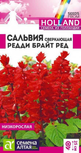 Редди Брайт ред Ц(Алт)