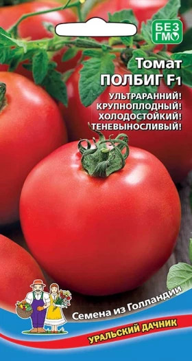 Полбиг Ц(УД)