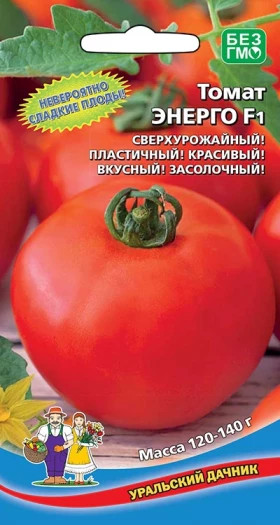 Энерго Ц(УД)