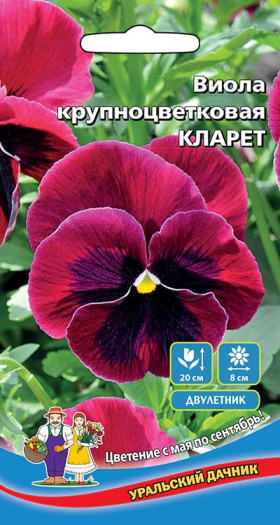 Кларет крупноцв. Ц(УД)