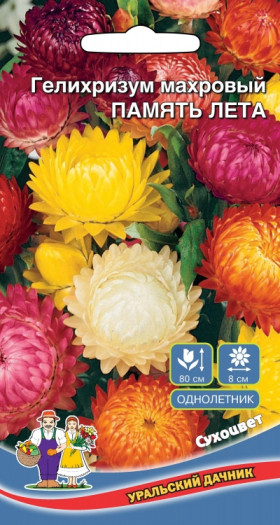 Память Лета махр.Ц(УД)