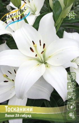 Тосканини (ЛА) 7шт