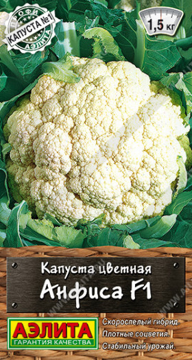 цветная Анфиса Ц(А)