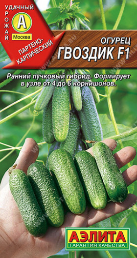 Гвоздик Ц(А)