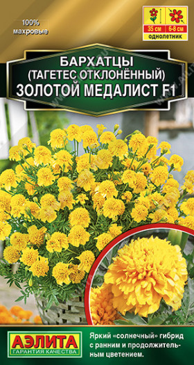 Золотой медалист Ц(А)