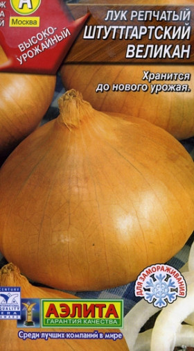 Штуттгартский великан Ц(А)