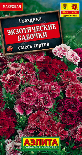 Экзотические бабочки  Ц(А)