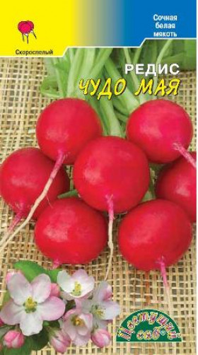 Чудо мая /Цветущий Сад