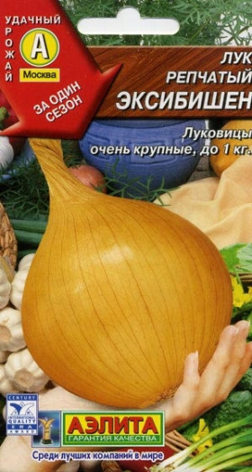 Эксибишен Ц(А)