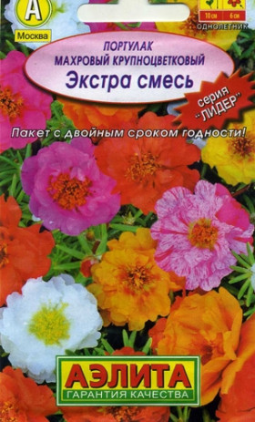 Экстра махровый крупноцветковый Лидер