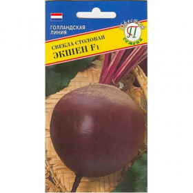 Экшен F1 1гр.Ц(П)