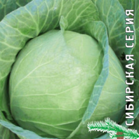 Точка 0,5 гр.Б(Поиск)