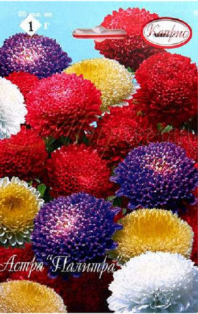 Астра Палитра Помпонная смесь Каприс 20*1