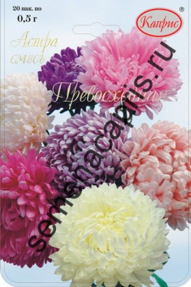 Астра Превосходная смесь Каприс