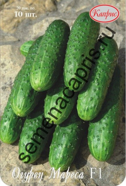 Огурец Мареса F1 Каприс