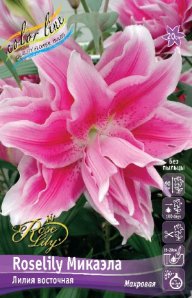 Roselily Микаэла вост.махр 5шт