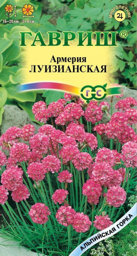 Луизианская Ц(Г)