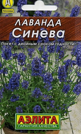 Синева Лидер