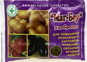 Маг бор 100гр./80 КапиталПрок