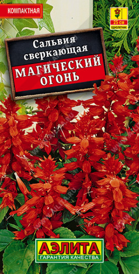 Магический огонь Ц(А)